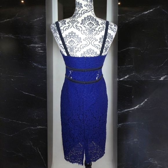 EXPRESS Blue Lace Knee Length Cocktail Dress- 6 - Picture 3 of 7